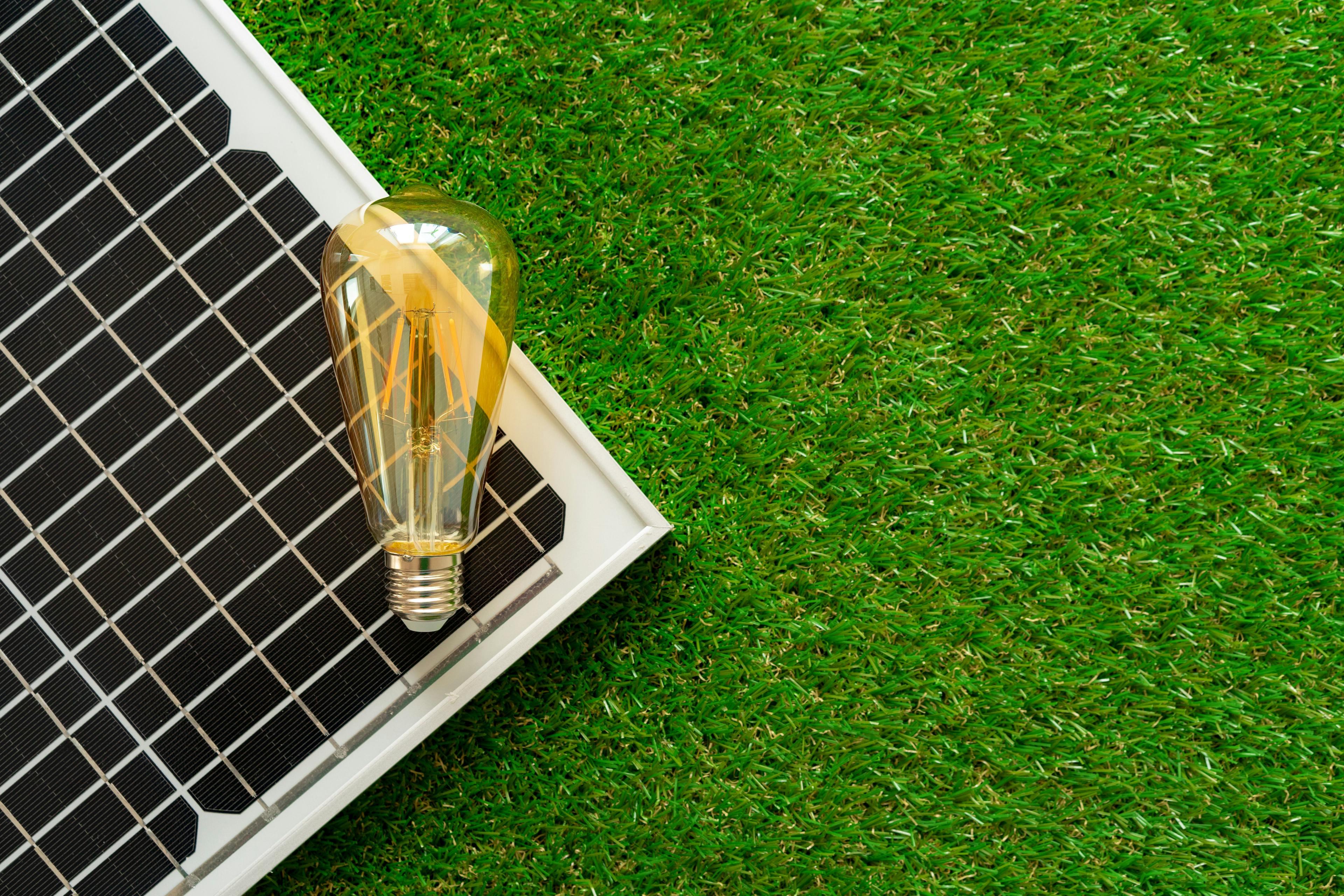 Solar energy | Light bulb on solar panel with grass on the side